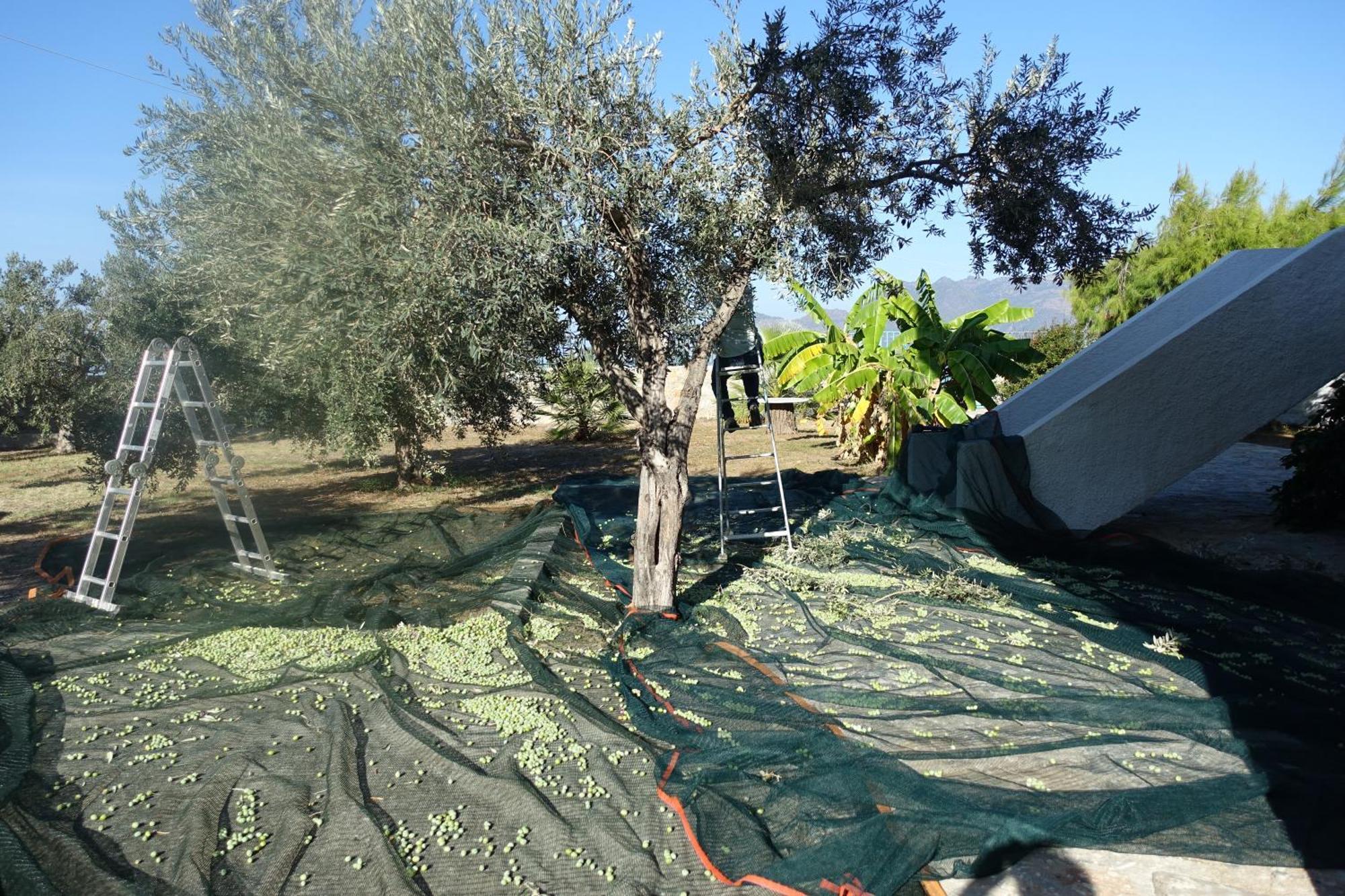 Villa In Kalloni Direkt Am Meer, Tolle Aussicht Exterior foto